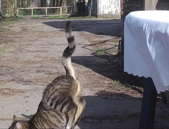 Schnappschuss 07.04.2019 d.jpg