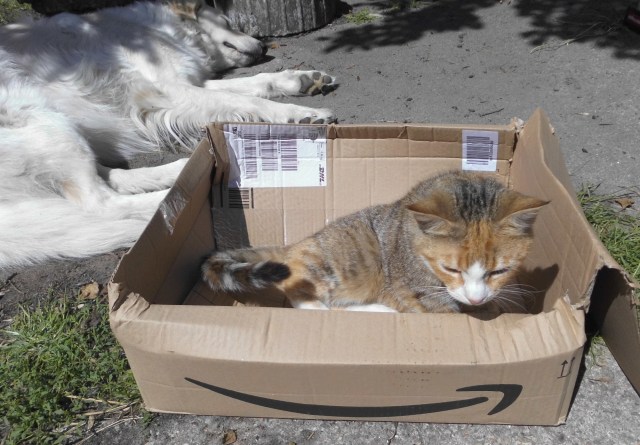 Face Giada 27.06.2019 a.jpg