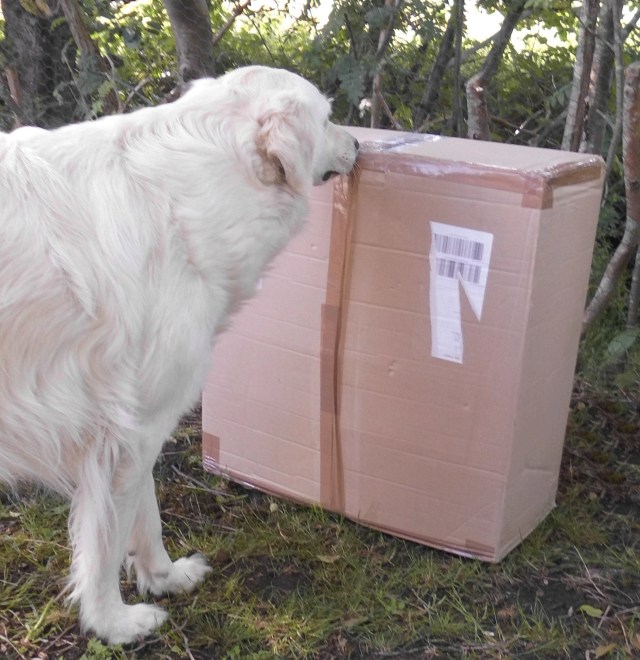 Paket Anja 15.06.2019 a.jpg