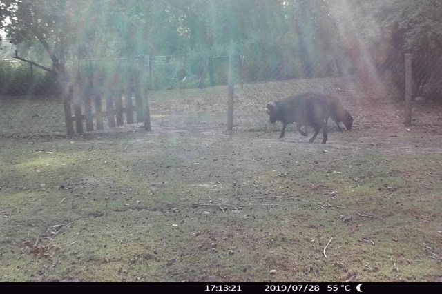 Garten 28.07.2019 - 55 Grad.jpg