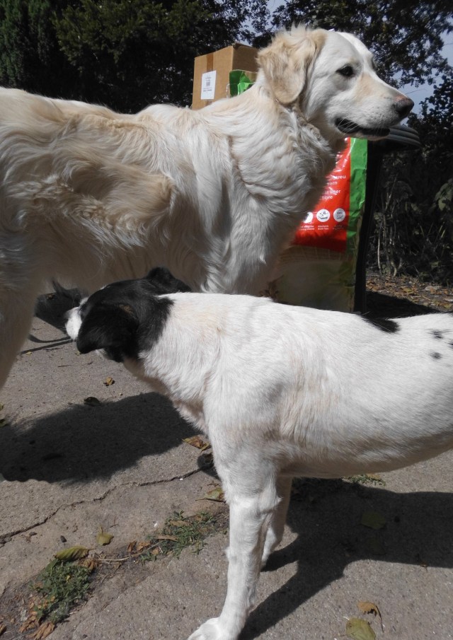 Giada Campa 26.07.2019.jpg