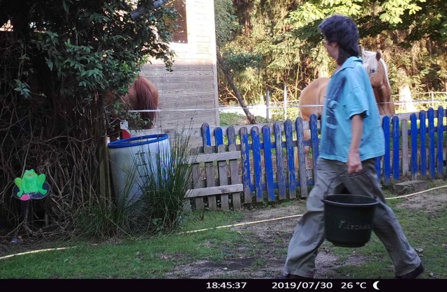 Padock 30.07.2019 o.jpg