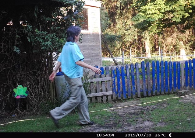 Padock 30.07.2019 q.jpg