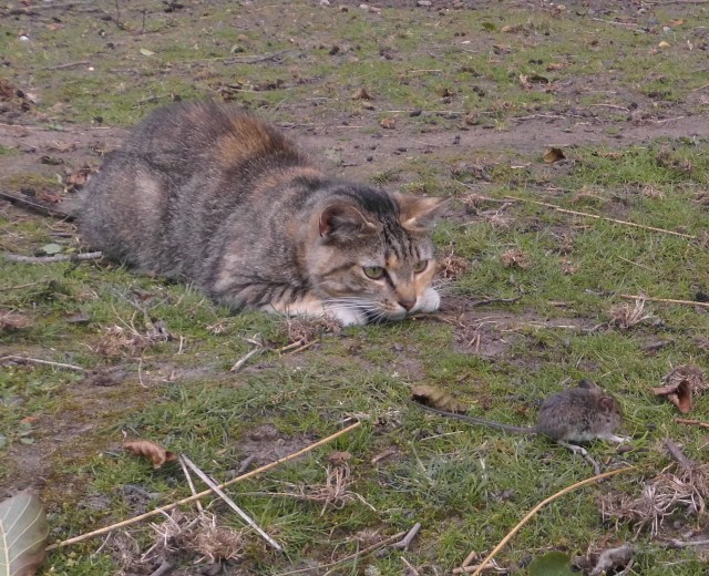 Zwergmaus und Moni 19.07.2019 a.jpg