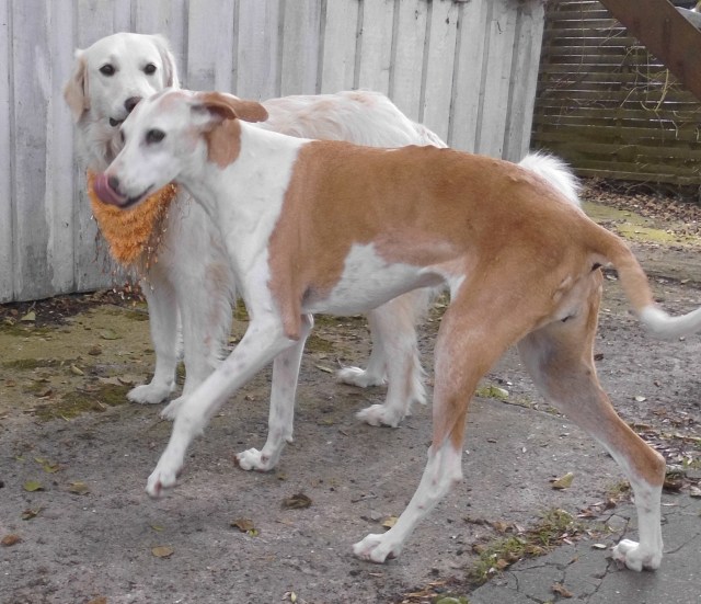 Chica Giada 01.08.2019 a.jpg