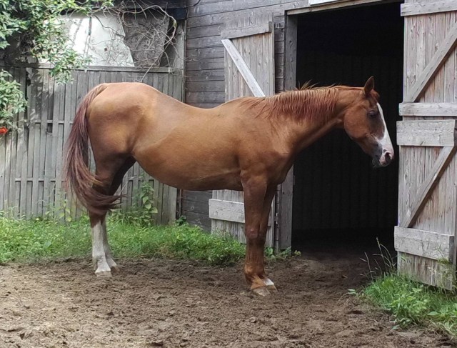 Miranda 31.07.2019 k.jpg