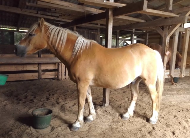 Nielsson morgens 03.08.2019 b.jpg