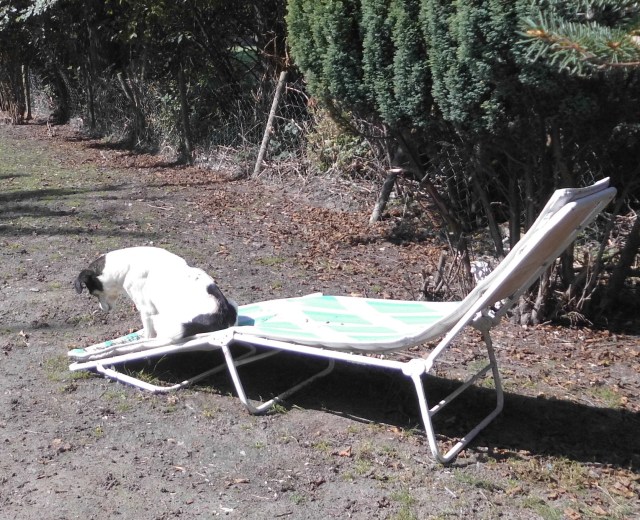 Campa 24.08.2019 a.jpg