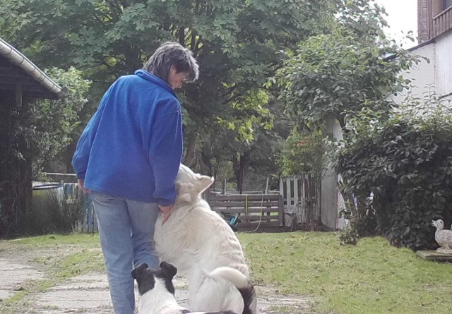 Kuschelanfall 07.09.2019.jpg