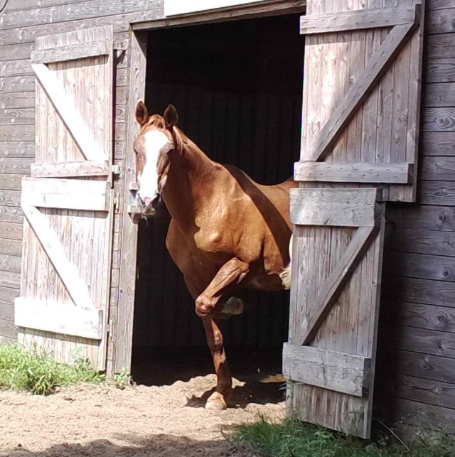 Miranda 03.08.2019 r.jpg