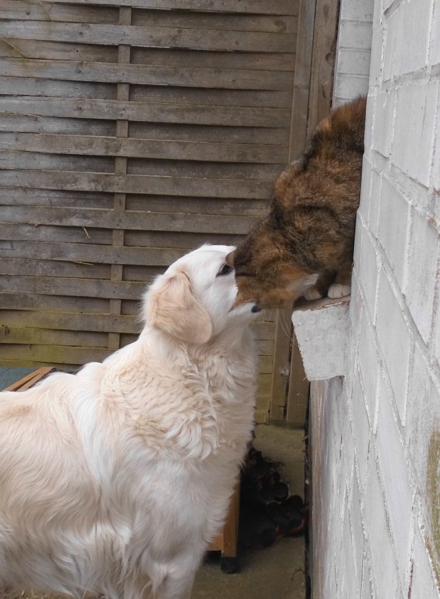 Moni Giada 03.05.2019 stempel a.jpg