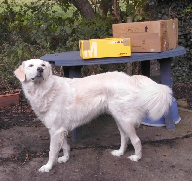 Giada 09.10.2019 b.jpg