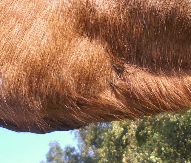 Miranda Wunde 20.10.2019.jpg