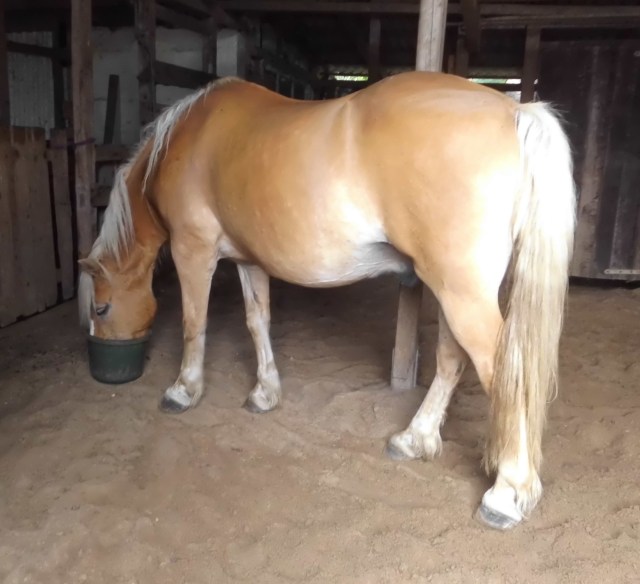 Nielsson morgens 03.08.2019 a.jpg