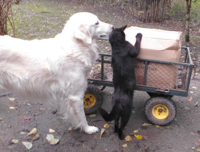 Paket 12.10.2019 b.jpg