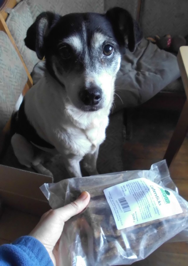 Campa Euterstix 06.11.2019 a.jpg