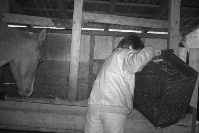 Fütterung 14.03.2019 a