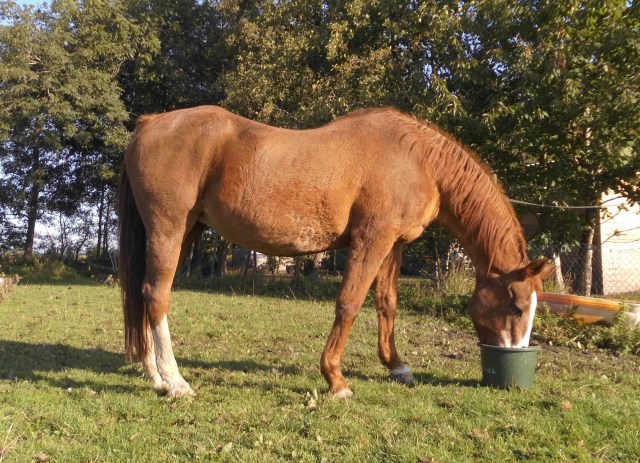 Miranda Frühstück 05.10.2019 b.jpg