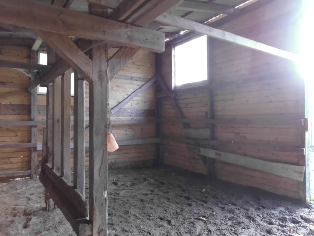 Stall Fenster 26.10.2019 b.jpg