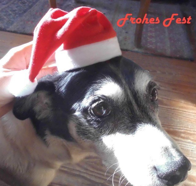 Campa Weihnachten 19.12.2019 d.jpg