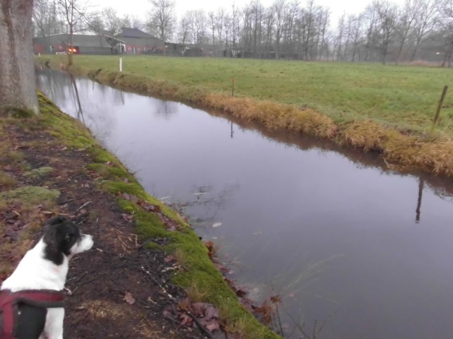 Fleth ist auch voll 12.12.2019 a.jpg