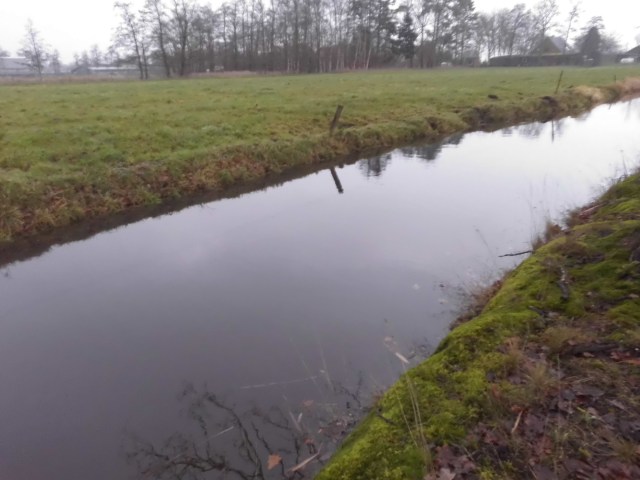 Fleth ist auch voll 12.12.2019 b.jpg