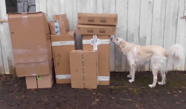 Giada Pakete 04.12.2019 a.jpg