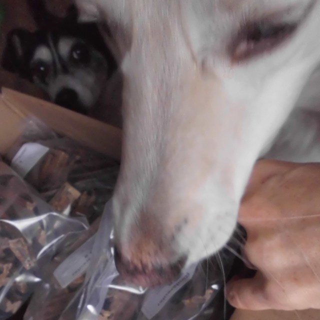 Karton mit Rindereuter b.jpg