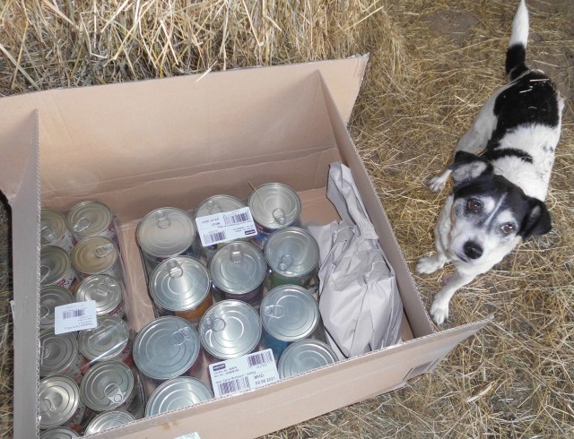 Tiere und Pakete 4.jpg