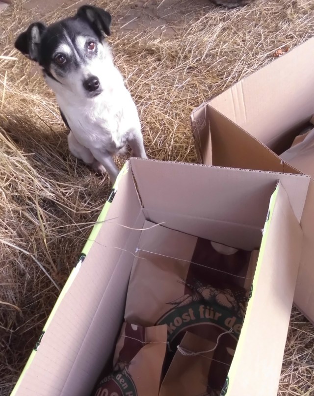 Tiere und Pakete 6.jpg