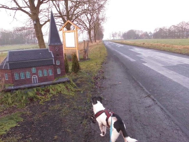 Weihnachtsdeko 20.12.2019 b.jpg