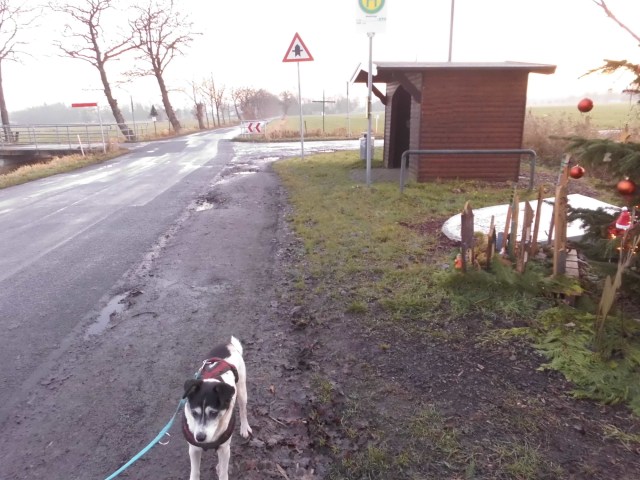 Weihnachtsdeko 20.12.2019 c.jpg