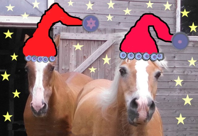 Weihnachtspferde 2019