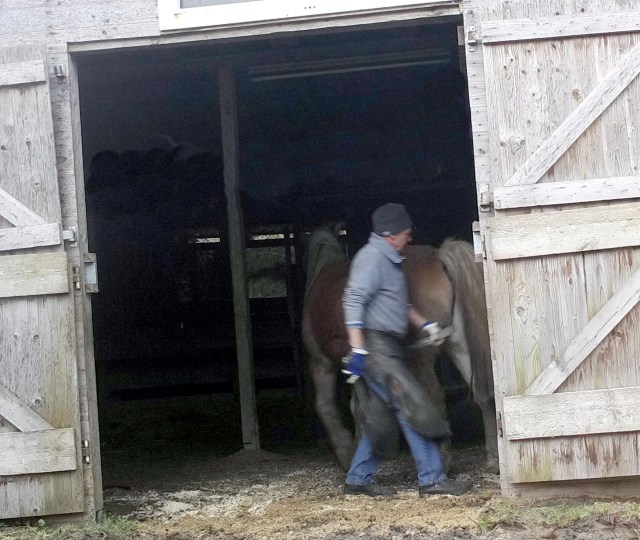 Schmied 18.01.2019 c