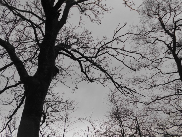 Nach Orkan b 11.02.2020