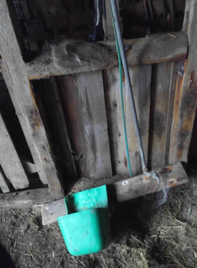 Umdekoriert 04.02.2020 a