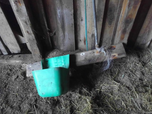 Umdekoriert 04.02.2020 b