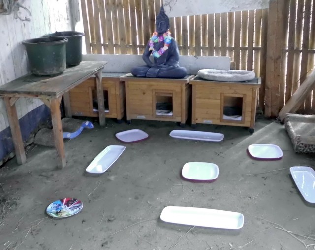 Futterplatz 09.03.2020