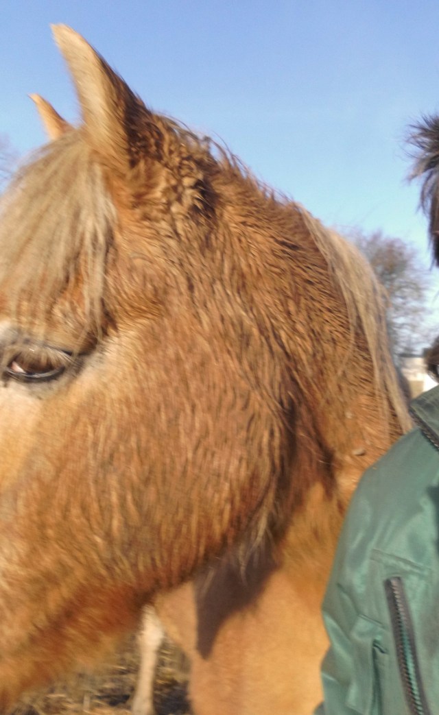 Unselfie Nielsson 19.12.2019 b