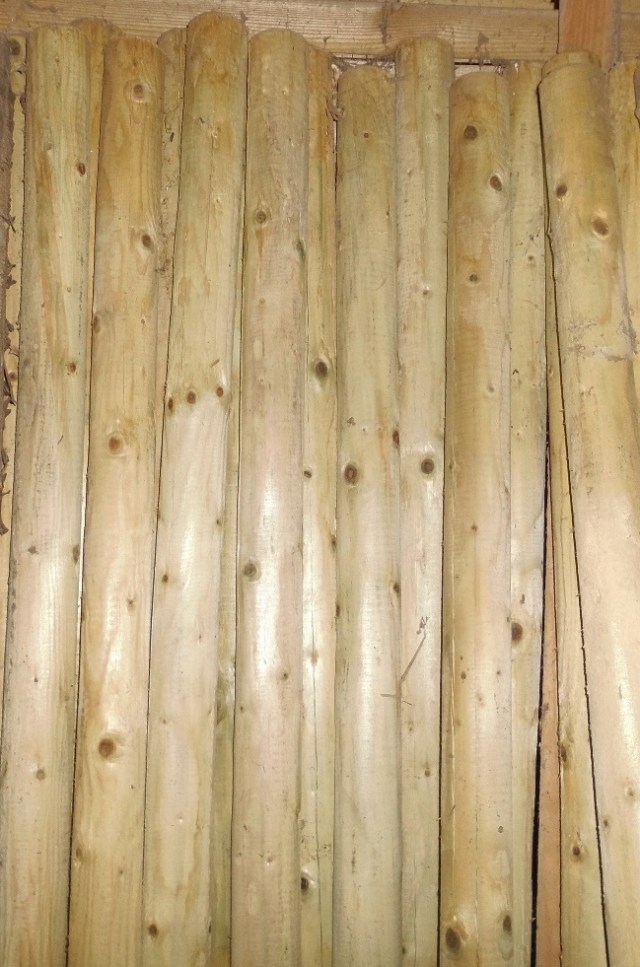 Zaunpfähle 24.04.2020