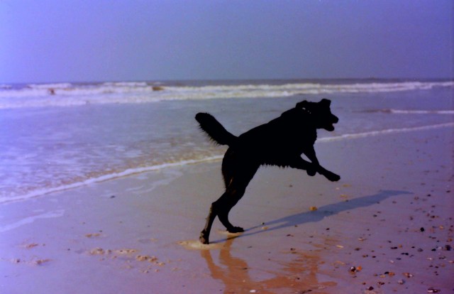 Dänemark Meer Tinka 2