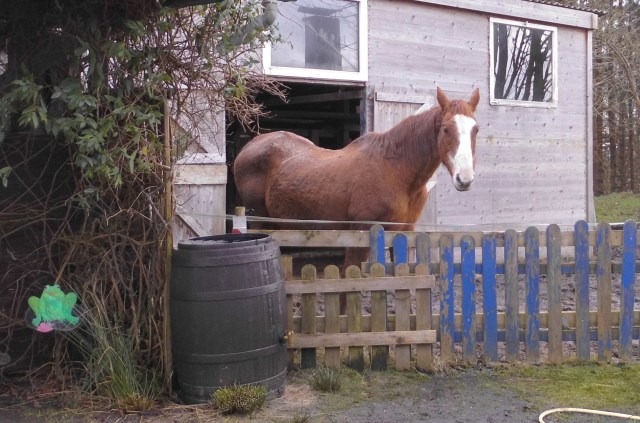 Miranda 20.01.2020 a