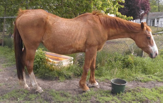 Miranda 23.05.2020 g