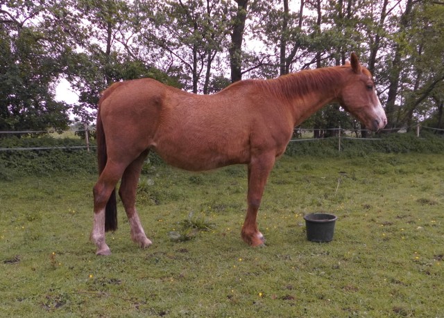 Miranda 24.05.2020 f