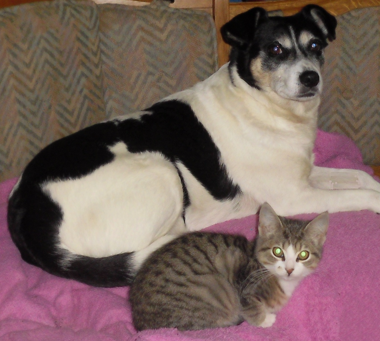 Campa-Luzy-13.10.2016