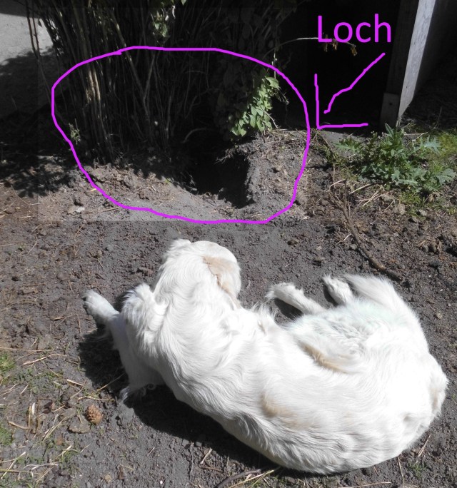 Ich habe fertig - Loch 02.06.2020 b