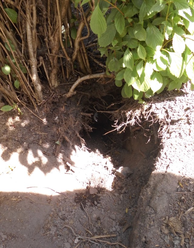 Ich habe fertig - Loch 02.06.2020 d