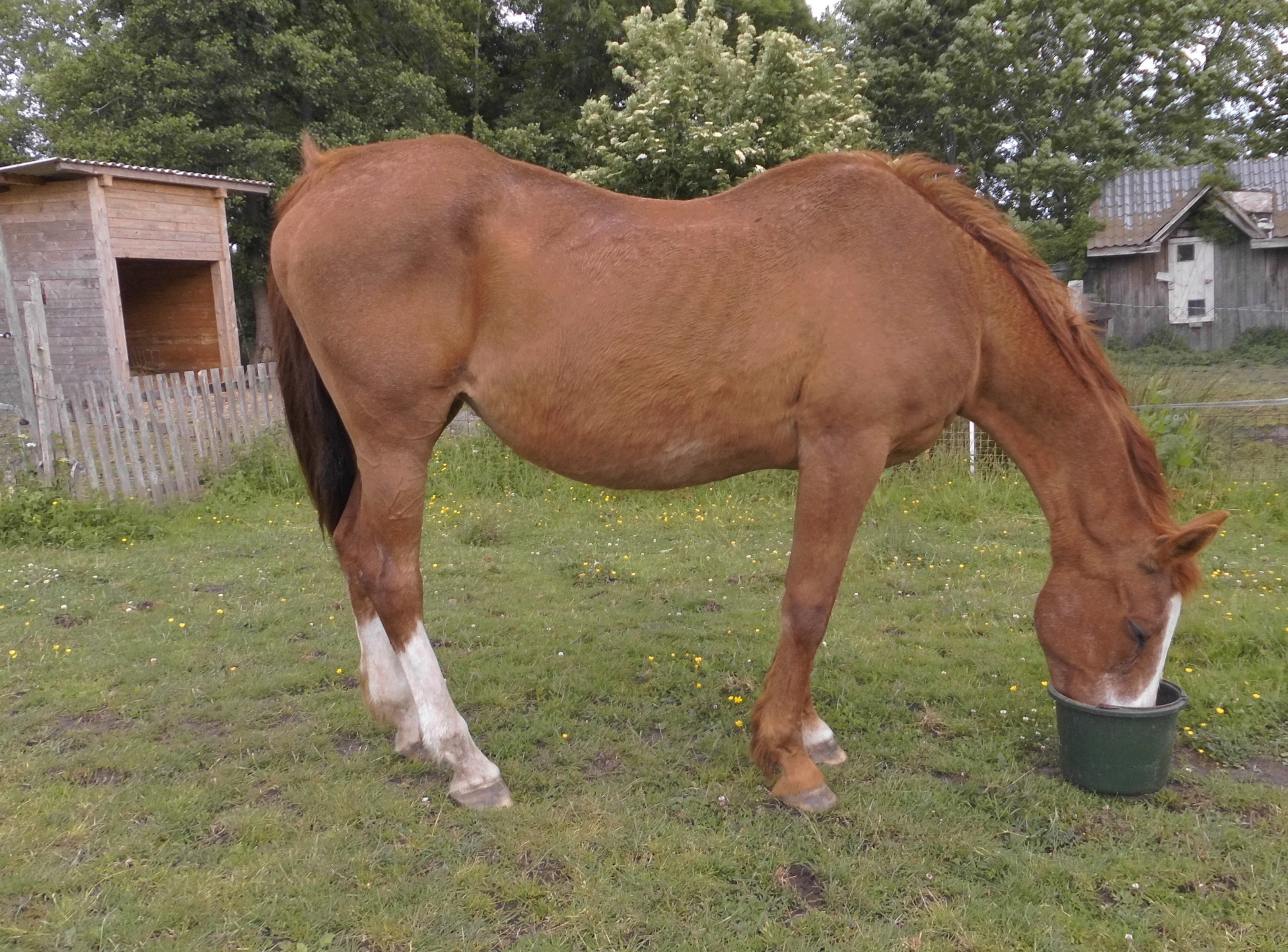 Miranda 07.06.2020 a