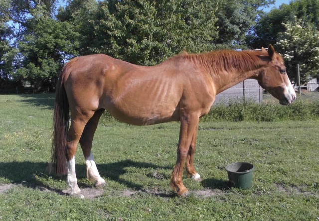 Miranda 15.06.2020 a