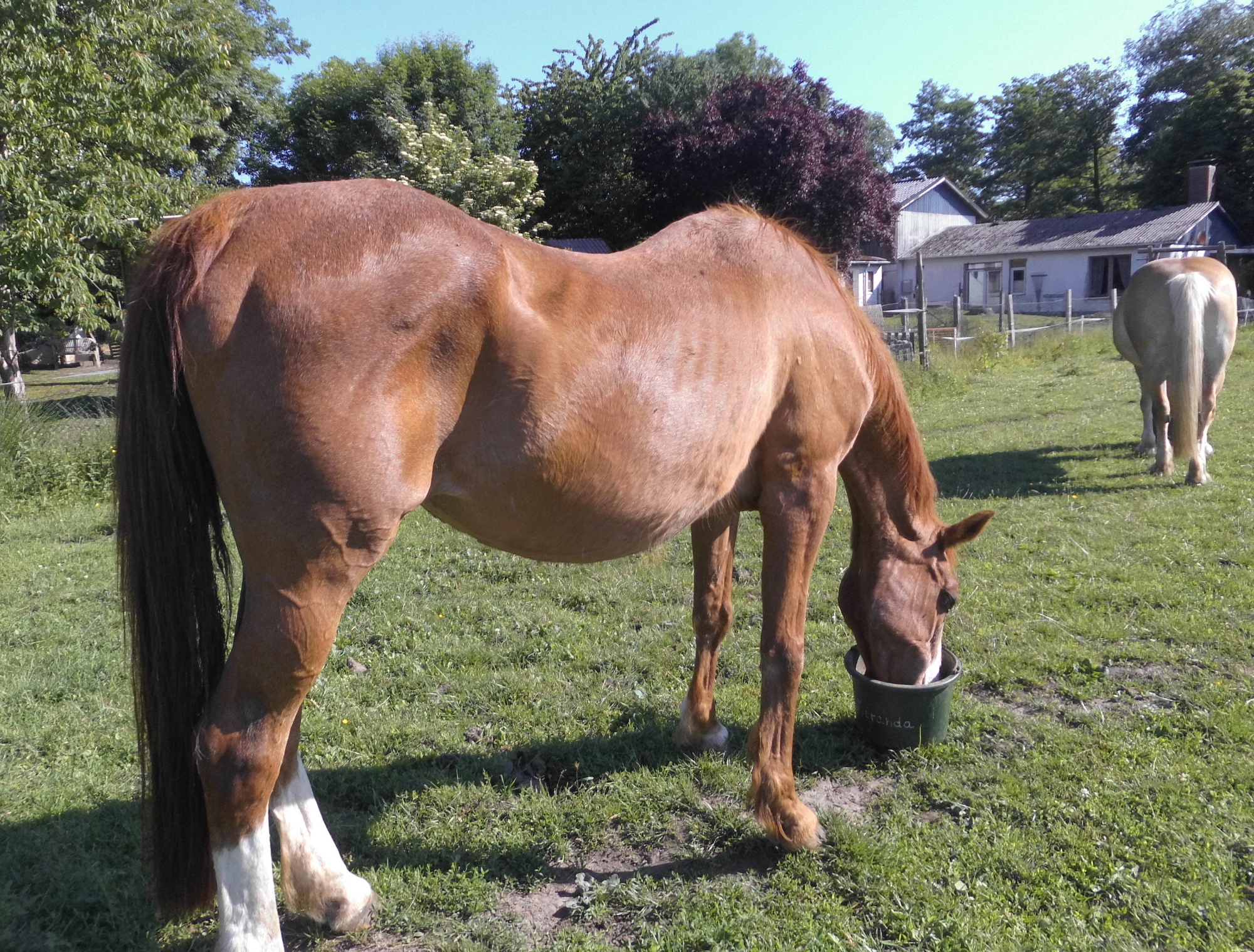 Miranda 15.06.2020 f